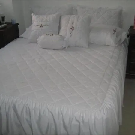 Adriana Sofia De Indias Apartamento *